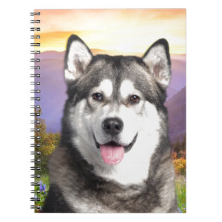 Alaskabo Malamute Anteckningsbok Med Spiral