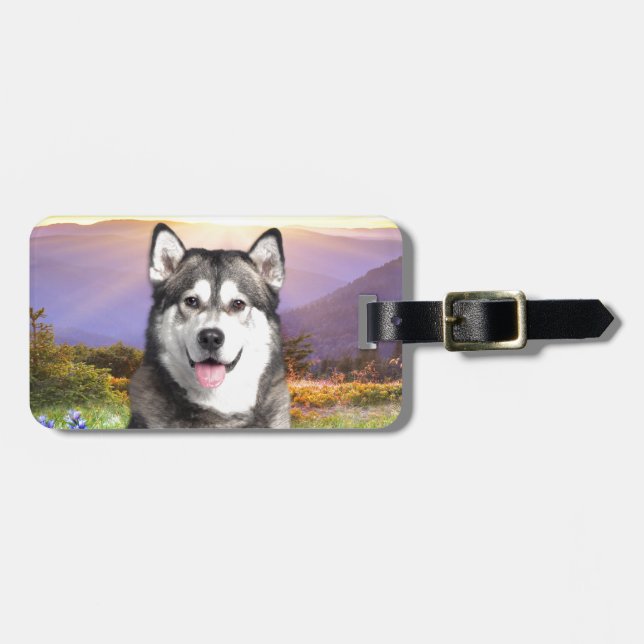 Alaskabo Malamute Bagagebricka (Horisontell Framsida)