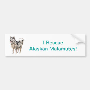 Alaskabo Malamute Bildekal