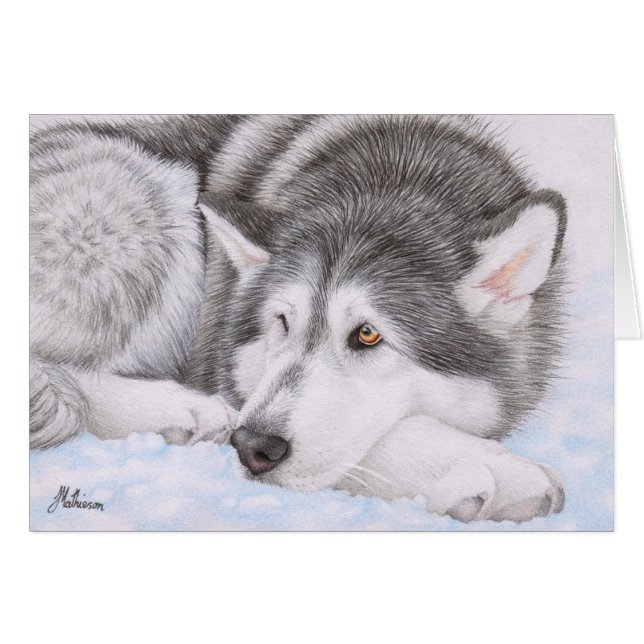 Alaskabo Malamute i snö Hälsningskort (Framsidan Horizontal)