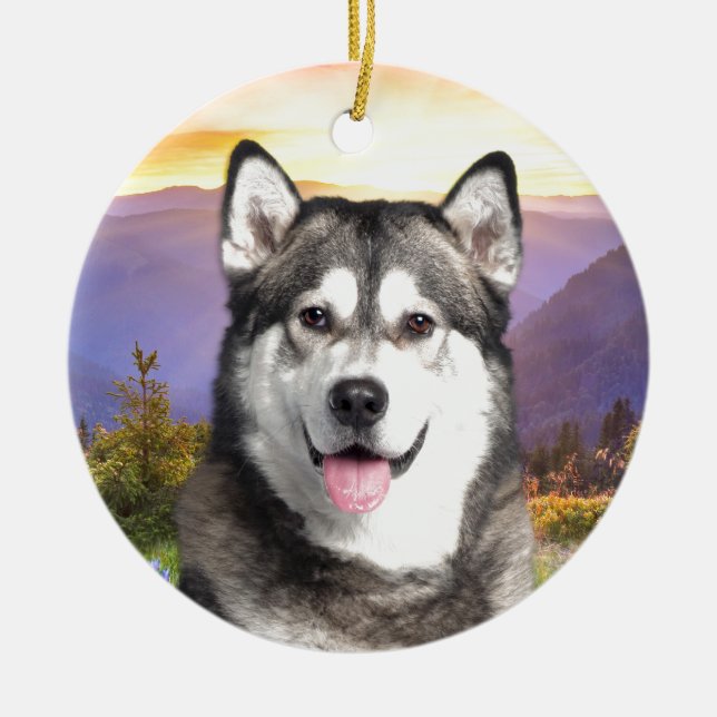 Alaskabo Malamute Julgransprydnad Keramik (Framsidan)