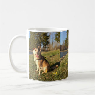 Alaskabo Malamute Kaffemugg