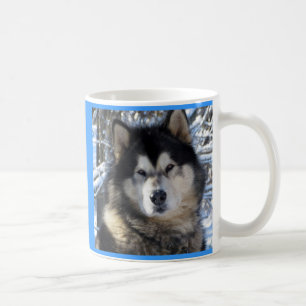 Alaskabo Malamute Kaffemugg