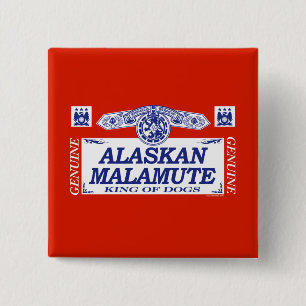 Alaskabo Malamute Knapp