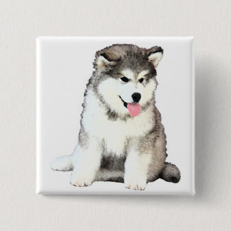 Alaskabo Malamute Knapp