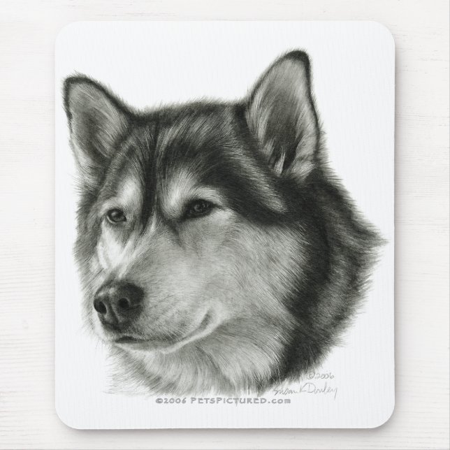 Alaskabo Malamute Musmatta (Framsidan)