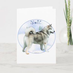 Alaskabo Malamute Noel Helgkort