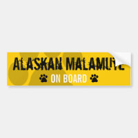 Alaskabo Malamute ombord