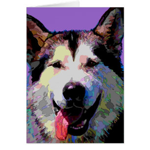 Alaskabo Malamute som bländar "Kiska" kort