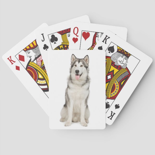 Alaskabo Malamute som leker kort Kortlek (Baksidan)