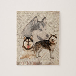 Alaskabo MalamuteCollage på ordmönster Pussel