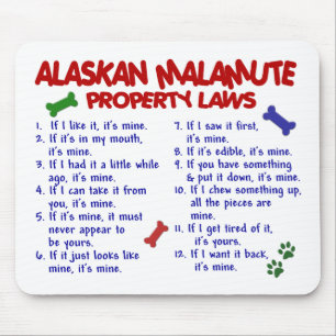 ALASKABO MALAMUTEegendomlagar 2 Musmatta