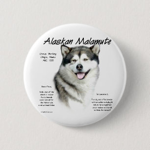 Alaskabo Malamutehistoriedesign Knapp