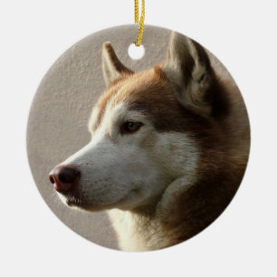 Alaskabo Malamutehund Julgransprydnad Keramik
