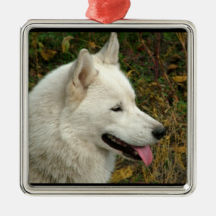 Alaskabo Malamutehund Julgransprydnad Metall