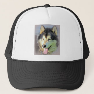 Alaskabo Malamutehund Truckerkeps