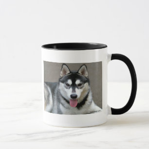Alaskabo Malamutehundar Mugg