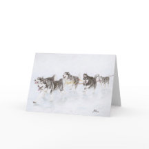 Alaskabo Malamutelagspring till och med snö