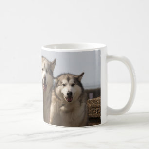Alaskabo Malamutes Kaffemugg