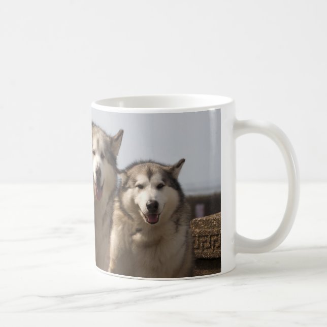 Alaskabo Malamutes Kaffemugg (Höger)