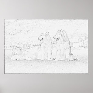 Alaskabo Malamutes Poster