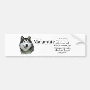 Alaskabo Malamutesmåsakerbildekal Bildekal