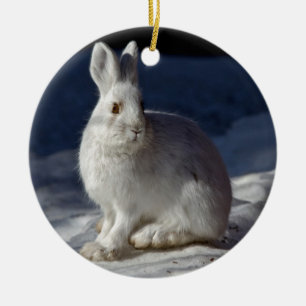 Alaskabo SnowshoeHare Julgransprydnad Keramik