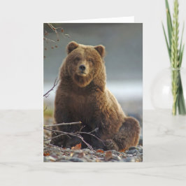 Alaskabobruntbjörn på Kenai NWR, Alaska Kort