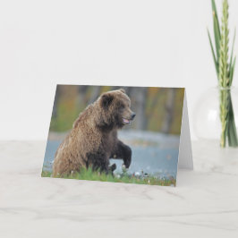 Alaskabobruntbjörn på Kenai NWR Kort