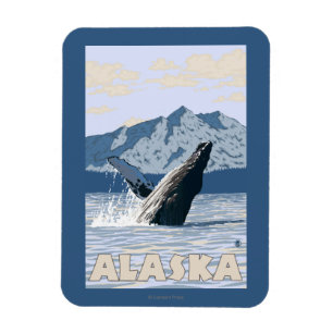 AlaskaHumpback Whale Vintage resor Poster Magnet