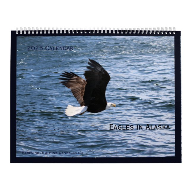 Alaskan Eagles Calendar Kalender (Omslag)