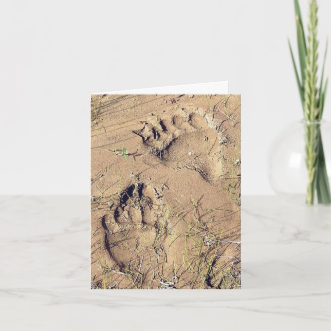 Alaskan Grizz Tracks - 4" x 5.6" Notecard Helgkort (Framsida)