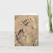 Alaskan Grizzly Spår - 4" x 5.6" Notkort