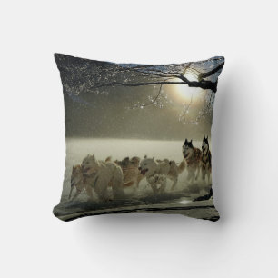 Alaskan Husky Hund Sled Tävling Kudde