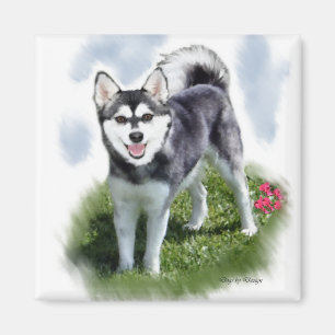 Alaskan Klee Kai Konst Magnet