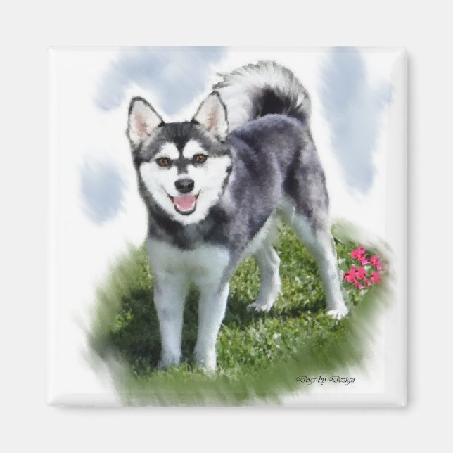 Alaskan Klee Kai Konst Magnet (Framsidan)