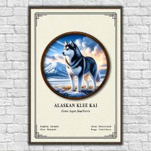 Alaskan Klee Kai Zoologi Serie Poster