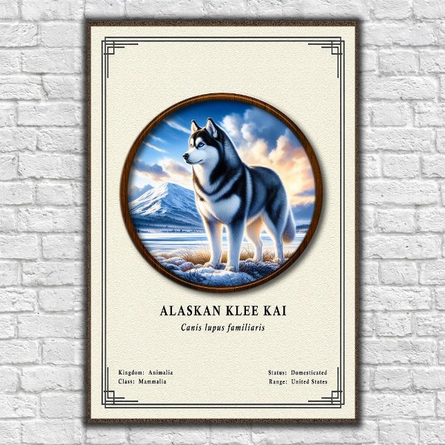 Alaskan Klee Kai Zoologi Serie Poster (Skapare uppladdad)
