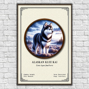 Alaskan Klee Kai Zoologi Serie Poster