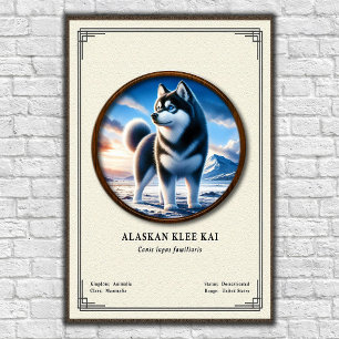 Alaskan Klee Kai Zoologi Serie Poster
