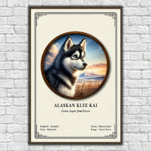 Alaskan Klee Kai Zoologi Serie Poster