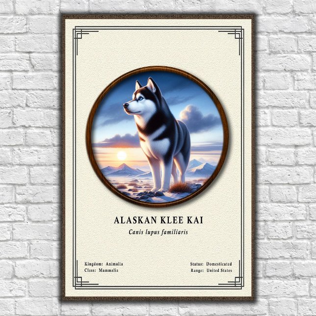 Alaskan Klee Kai Zoologi Serie Poster (Skapare uppladdad)