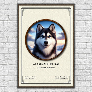 Alaskan Klee Kai Zoologi Serie Poster