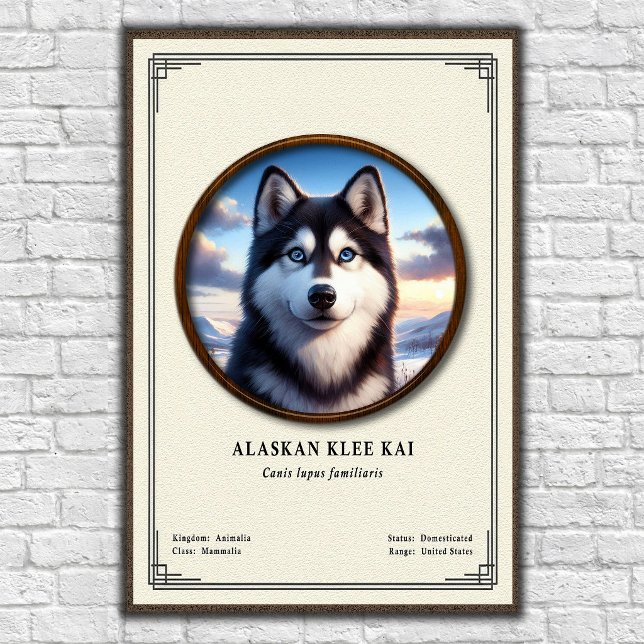 Alaskan Klee Kai Zoologi Serie Poster (Skapare uppladdad)