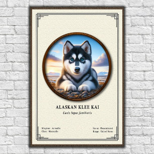 Alaskan Klee Kai Zoologi Serie Poster