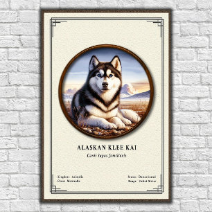 Alaskan Klee Kai Zoologi Serie Poster