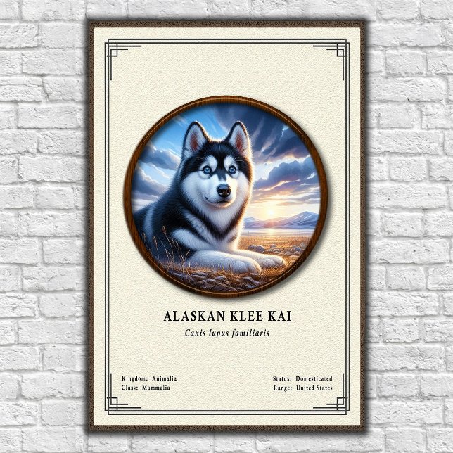 Alaskan Klee Kai Zoologi Serie Poster (Skapare uppladdad)