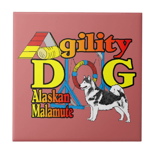 Alaskan Malamute Agility Kakelplatta (Framsidan)