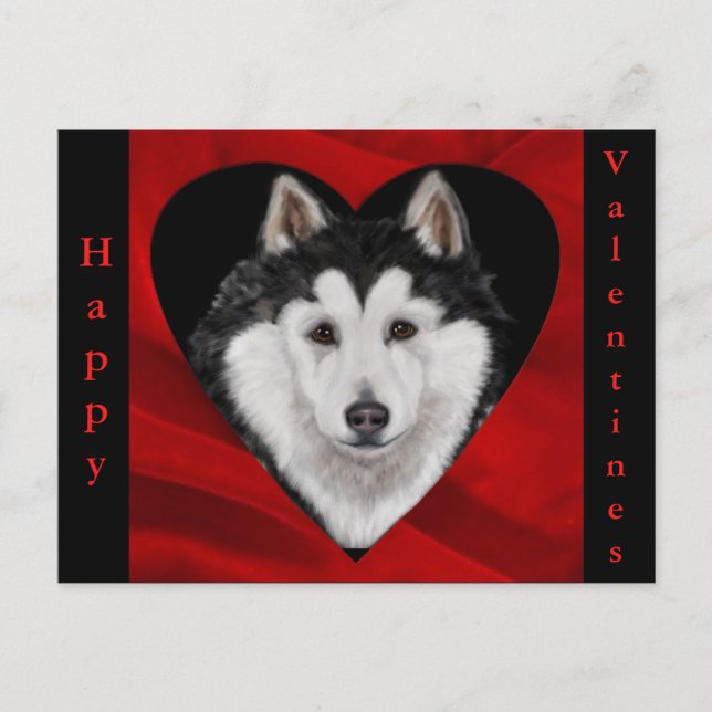 Alaskan Malamute Helg Vykort (Framsida)