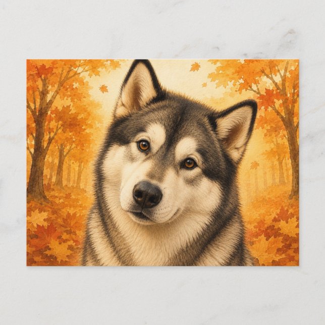 Alaskan Malamute Höst Skog Hund Vykort (Framsida)